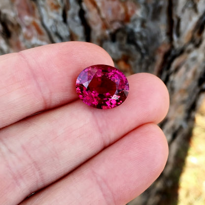 Big! Rich Color Pink Tourmaline Nigeria 9.37 ct