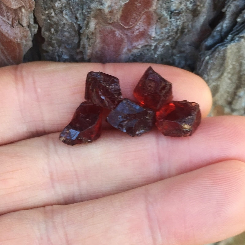Natural Pyrope Garnet — 34.79 ct total (5 pieces), Tanzania, Facet Rough