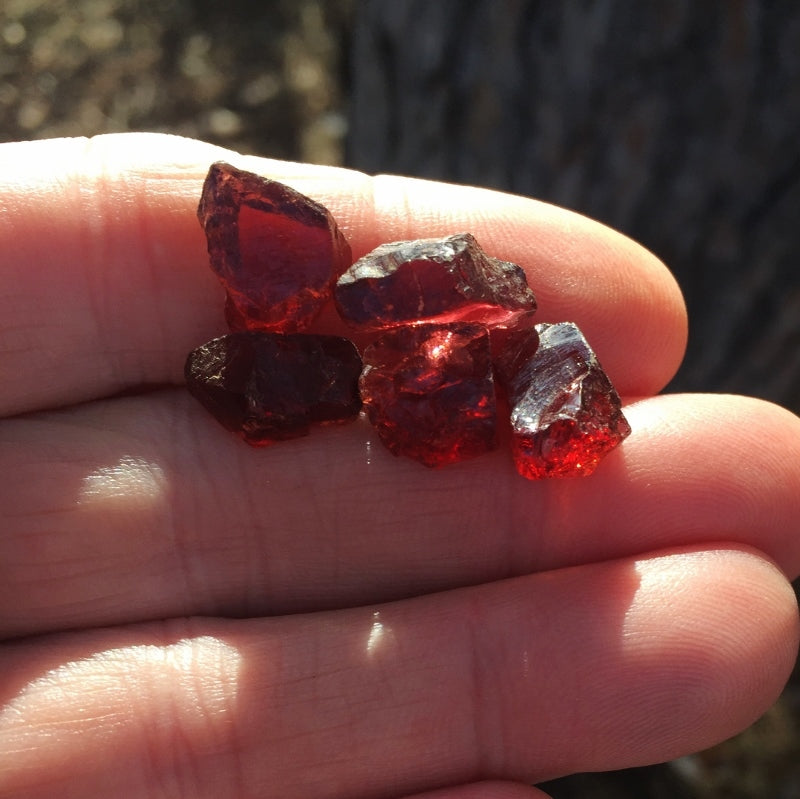 Natural Pyrope Garnet — 38.47 ct total (5 pieces), Tanzania, Facet Rough