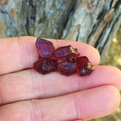 Natural Pyrope Garnet — 38.47 ct total (5 pieces), Tanzania, Facet Rough