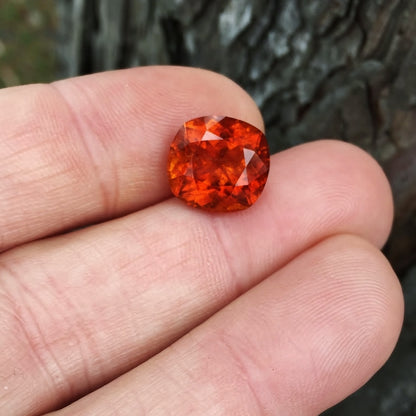 Natural Clinohumite — 7.64 ct, Pakistan–Afghanistan Border Region (GL)