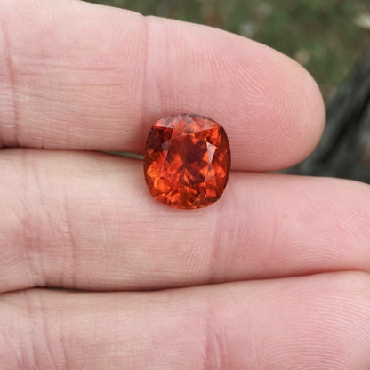 Natural Clinohumite — 7.64 ct, Pakistan–Afghanistan Border Region (GL)