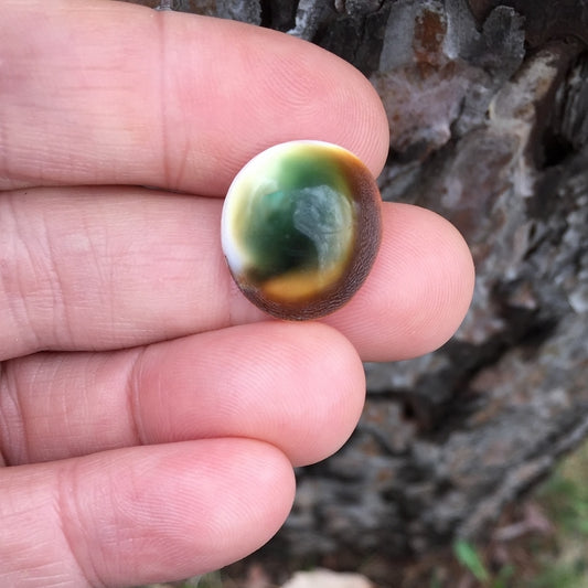 Natural Thompsonite — 16.00 ct, United States (Minnesota), Cabochon (GL)