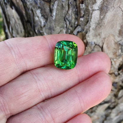 Color! Big Green Natural Tourmaline Mozambique 21.50 ct