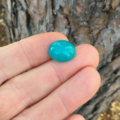 Natural Gem Silica — 8.12 ct, United States (Arizona), Oval Cabochon (GL)