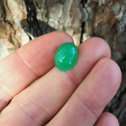 Premium Gem Color Australia Chrysoprase 6.01 Carats