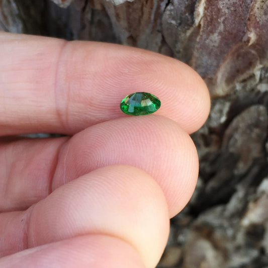 Vivid Chrome Green Tsavorite Garnet Kenya 0.85 Carats