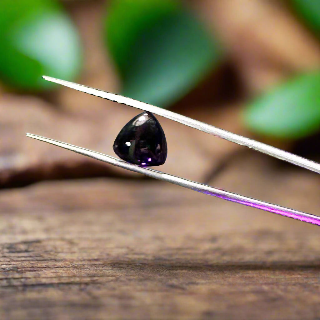 Polished Black Spinel Trillion Cabochon Pair