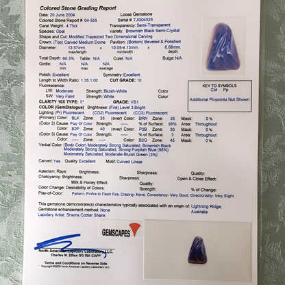 Sherris Cottier Shank Carved Australian Black Opal 4.75 ct