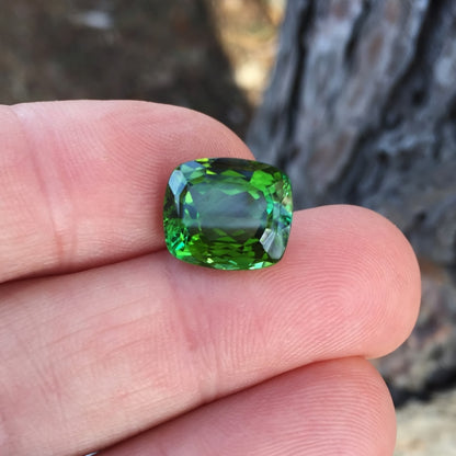 Fine Color & Bright!  Dichroic Green Tourmaline Nigeria 7.71 ct