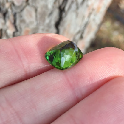 Fine Color & Bright!  Dichroic Green Tourmaline Nigeria 7.71 ct